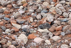 Skip Hire Ongar recycling centre