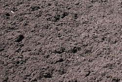 Skip Hire Ongar organic recycling